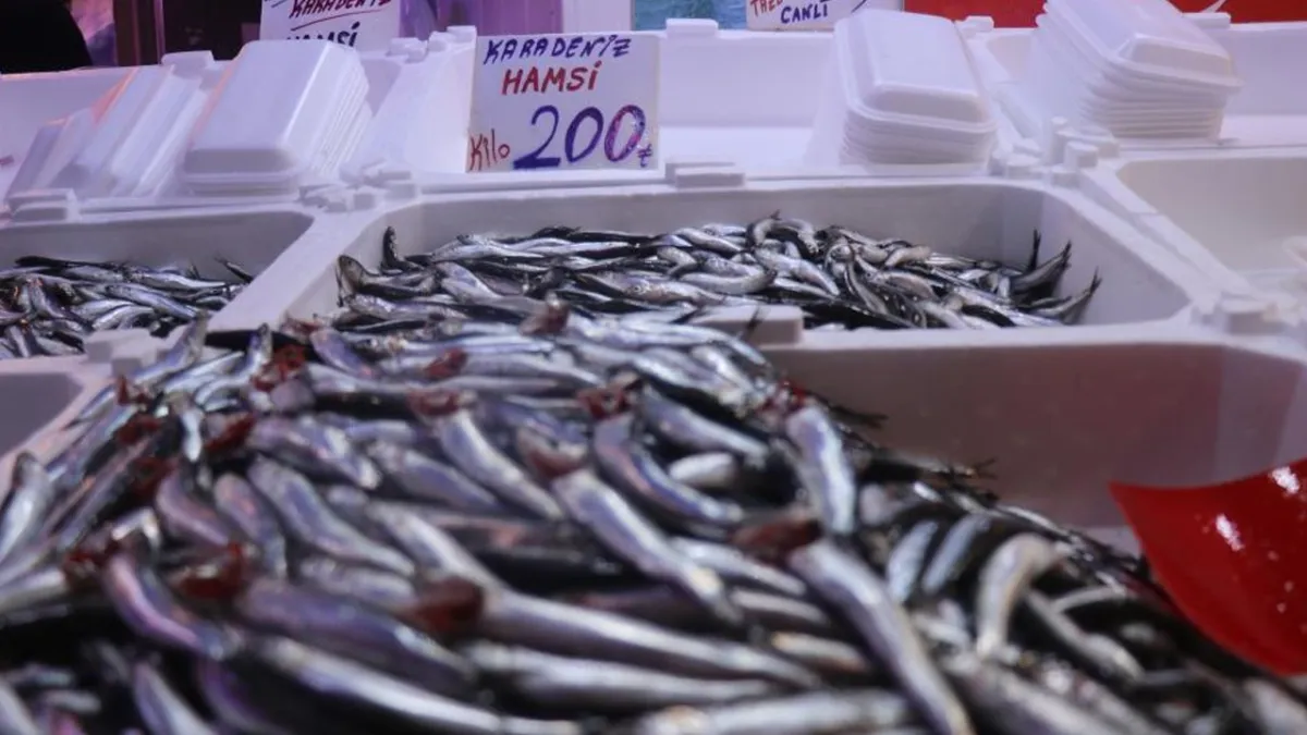 Hamsi yurda döndü, tezgahlardaki fiyatın ateşi düştü