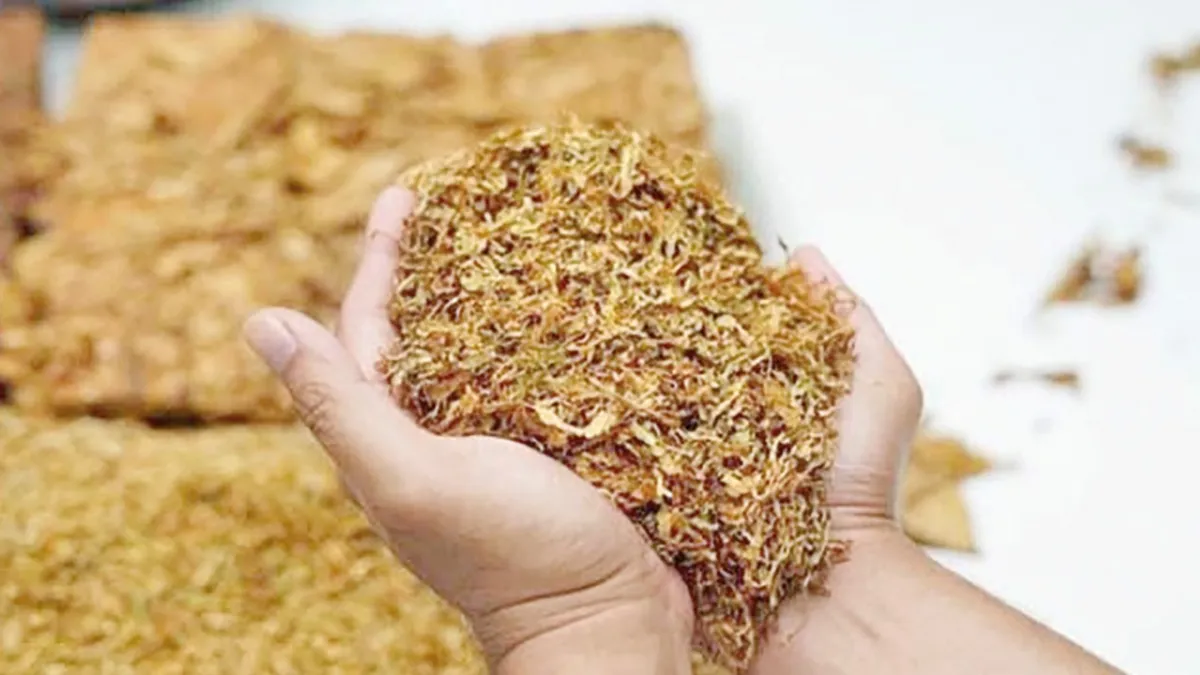 Tütünde “yeni nesil” kayıt dışı kalıyor