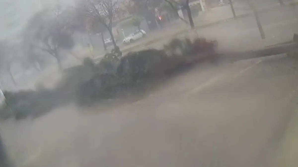 Adana'da fırtına dev ağaçları kökünden söktü: O anlar kamerada