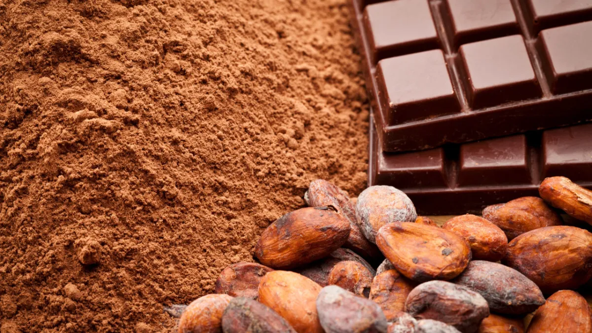 Dünyanın en büyük kakao üreticisinden geri adım: Fiyat primi kaldırıldı, satışlar hız kazandı