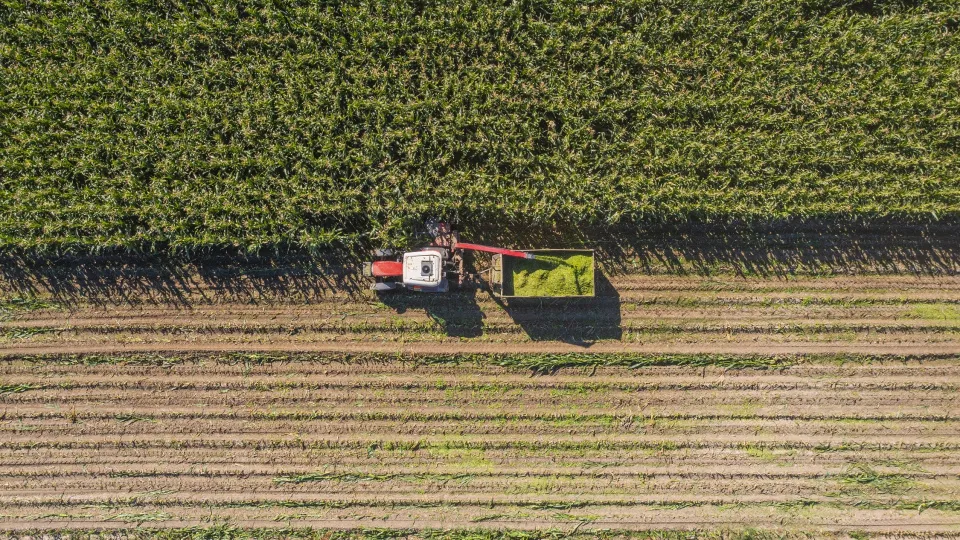 Küresel gıda fiyatları 5 ay sonra yükselişe geçti