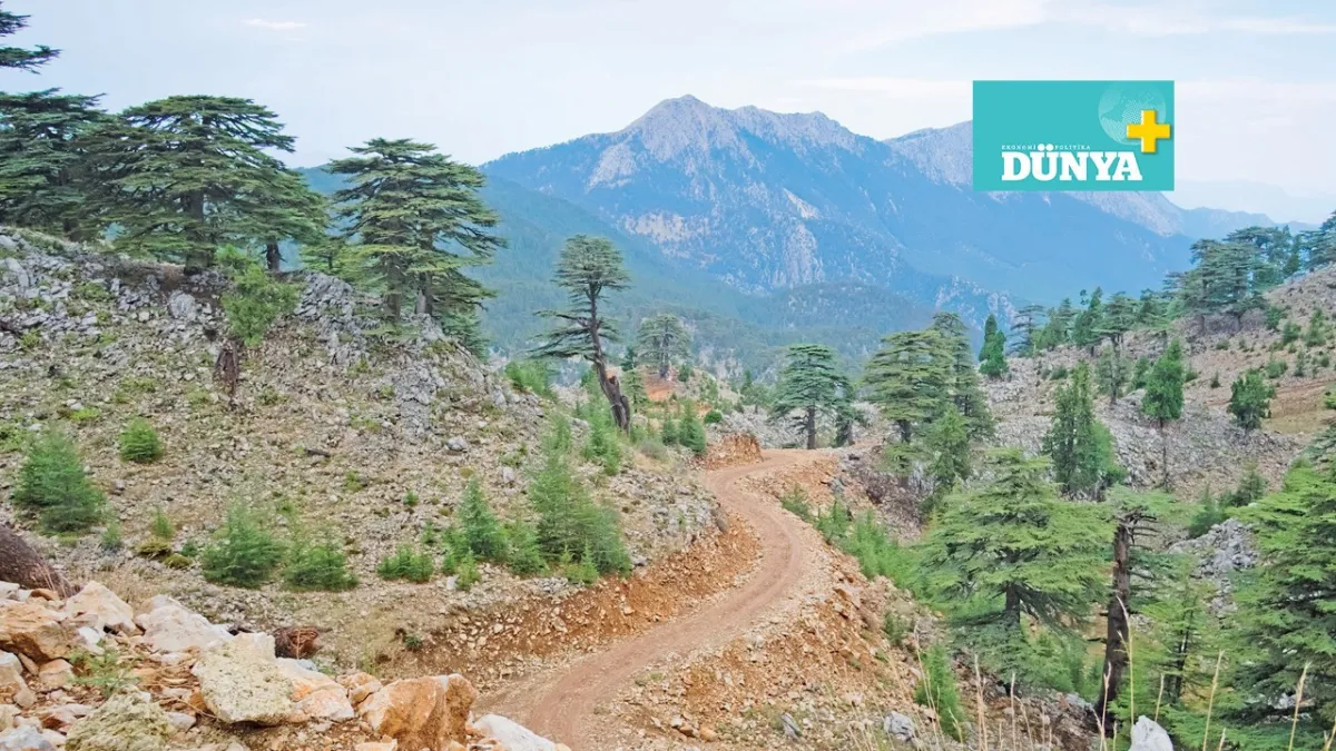 Likya Yolu: Baharın en güzel yürüyüşü