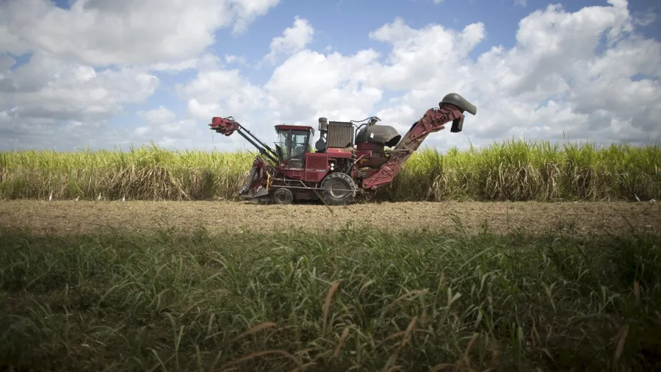 Yükselen enerji fiyatları şekerin tadını kaçırıyor