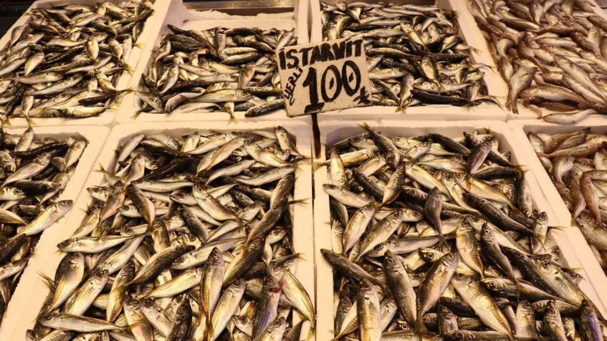 Ramazan ayında balığa talep patladı: Tezgahlar doldu taştı