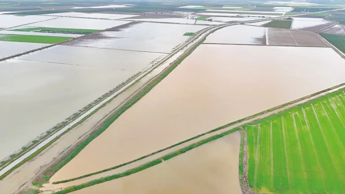 Çukurova’da 20 bin dönüm tarım arazisi sular altında