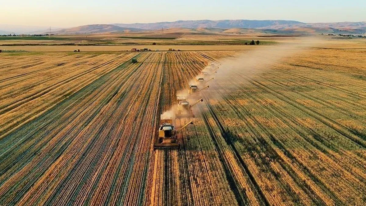 Tarımda planlı üretime destek: Mazotun tamamı ödenecek