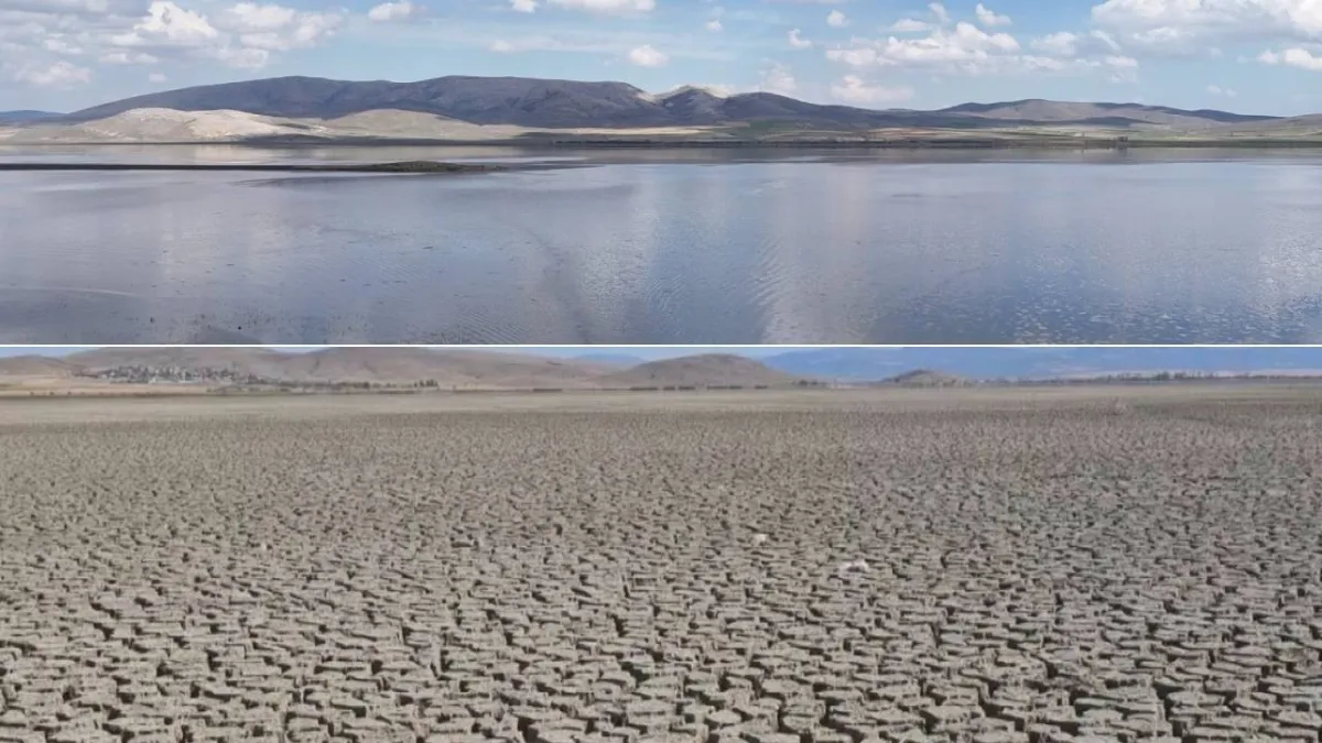 Çöle dönen göl, yeniden hayat buldu: Görenler gözlerine inanamadı