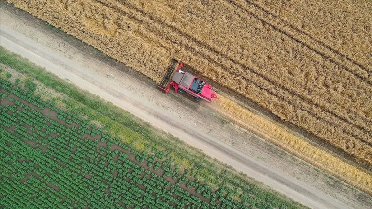 Tohum piyasasında rekabet ihlali soruşturmasında karar