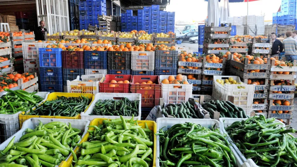 Tarımda üretici enflasyonu Mart'ta yüzde 3,85 arttı