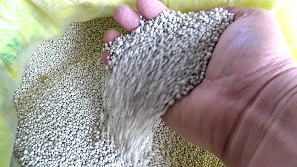 Rusya, gübre ihracatına uyguladığı kotayı yıl sonuna kadar uzattı