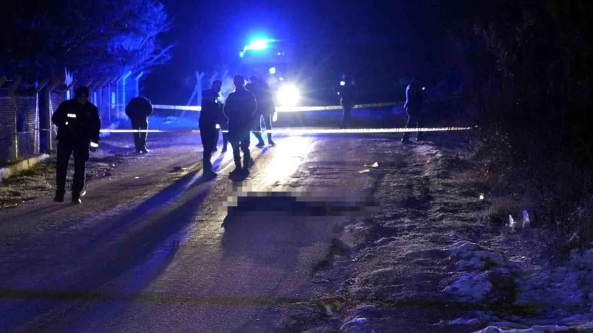 Plastik kutularda 21 cenin bulundu haber görseli