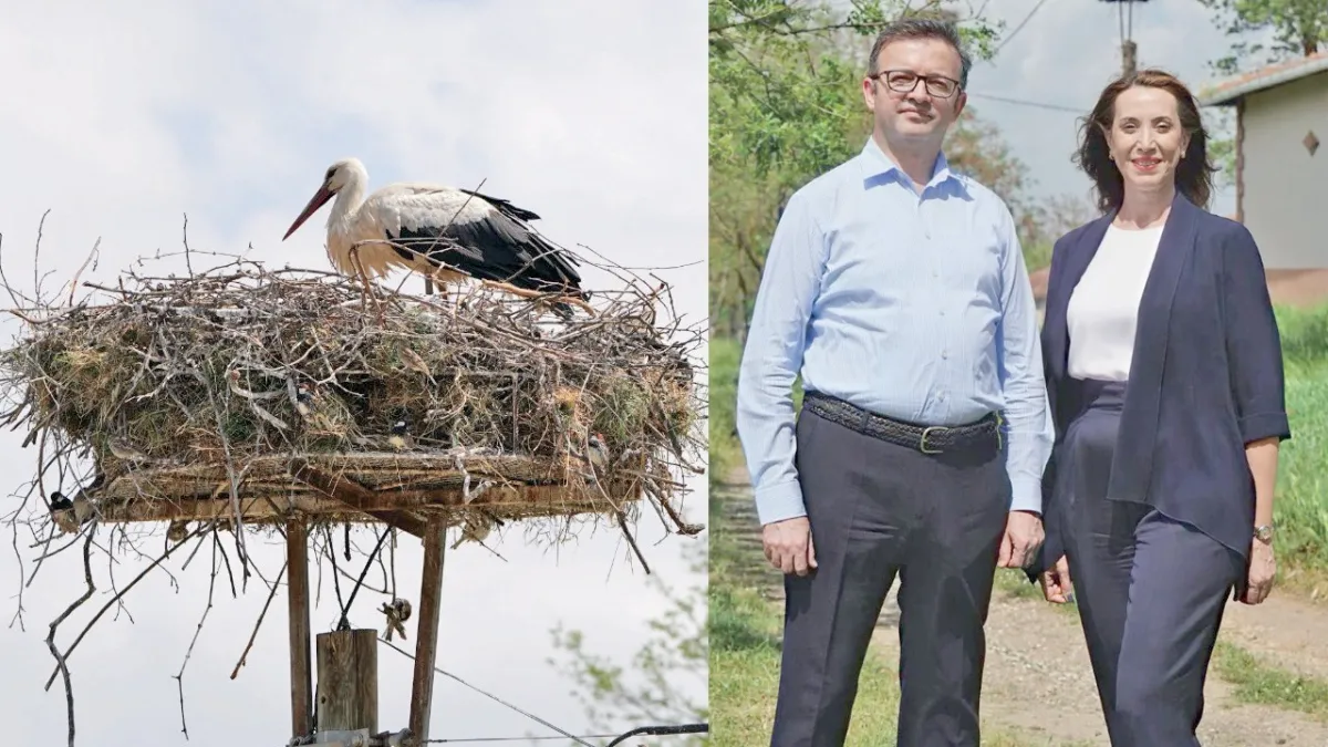 IC Holding’in COP31 sürecinde ilk ‘Etki Serisi’... haber görseli
