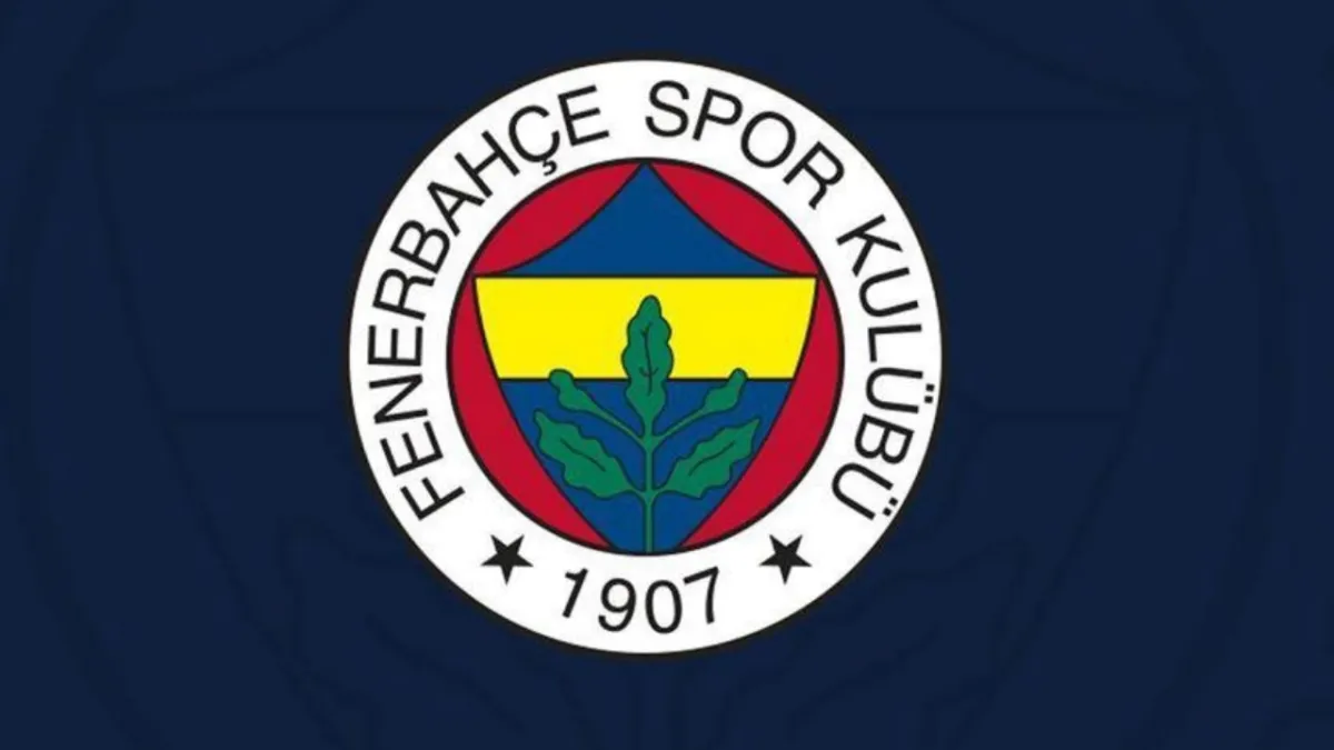Fenerbahçe'den Hull City ve Acun Ilıcalı'ya tebrik mesajı haber görseli