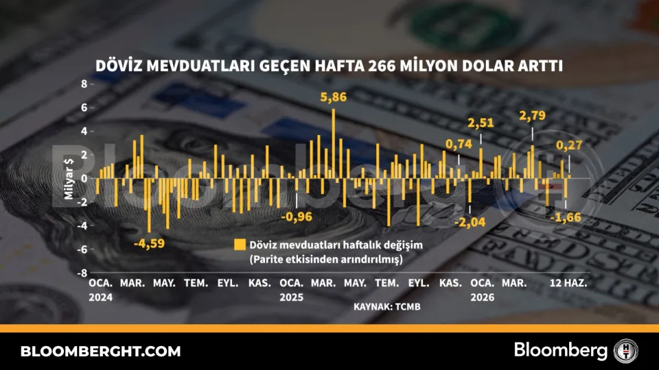 Döviz mevduatları geçen hafta 266 milyon dolar arttı