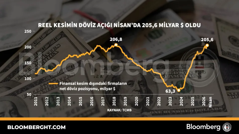 Reel kesimin döviz açığı Nisan'da 205,6 milyar dolar oldu