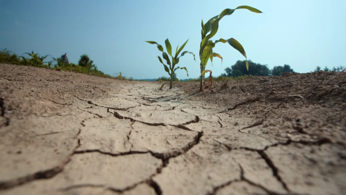 Küresel ekonomi için yeni tehdit El Nino... Dünyayı trilyon dolarlık zarar bekliyor