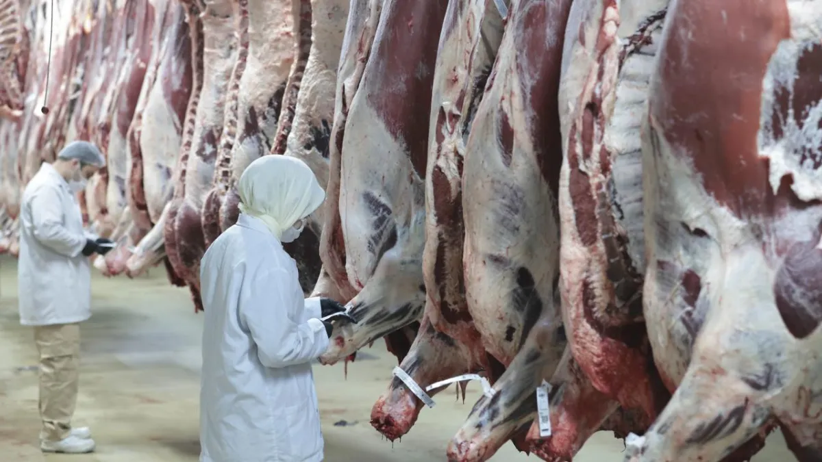 Resmi Gazete'de yayımlandı: Kesimhanelerde kamera sistemi zorunlu oluyor