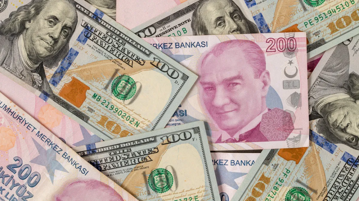 Dev banka dolar/TL tahminini yükseltti: Dolar bir yıl içinde yüzde 22 değer kazanacak
