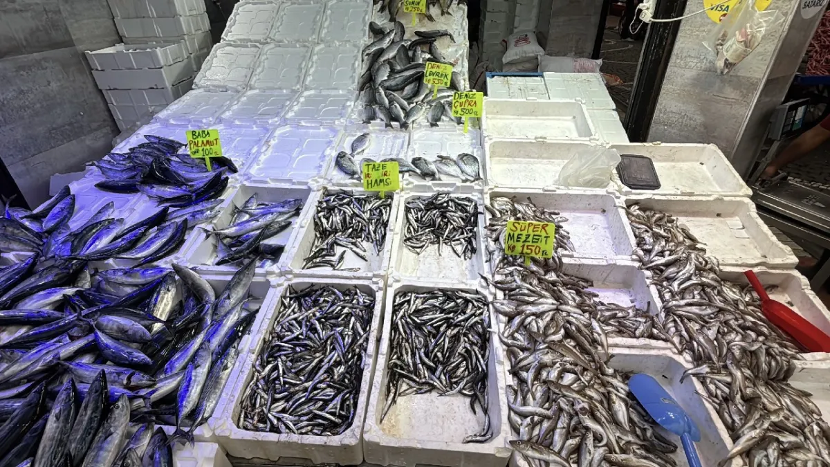 Karadeniz'de ağlar doldu, fiyatlar 50 liraya kadar düştü