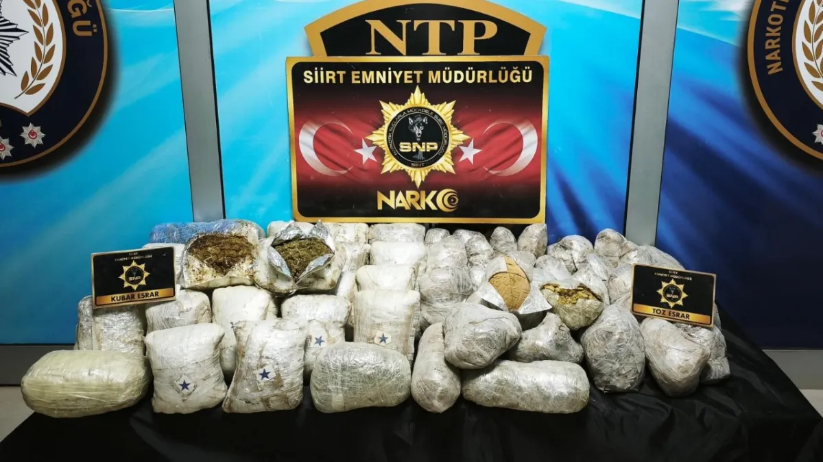 Koyun yünleri içine gizlenmiş 37 kilo esrar ele geçirildi