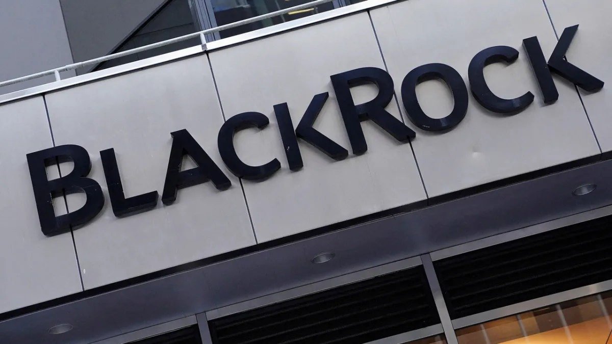BlackRock gelişen piyasalarda "ağırlığı artır" dedi: İşte öne çıkan 3 tema