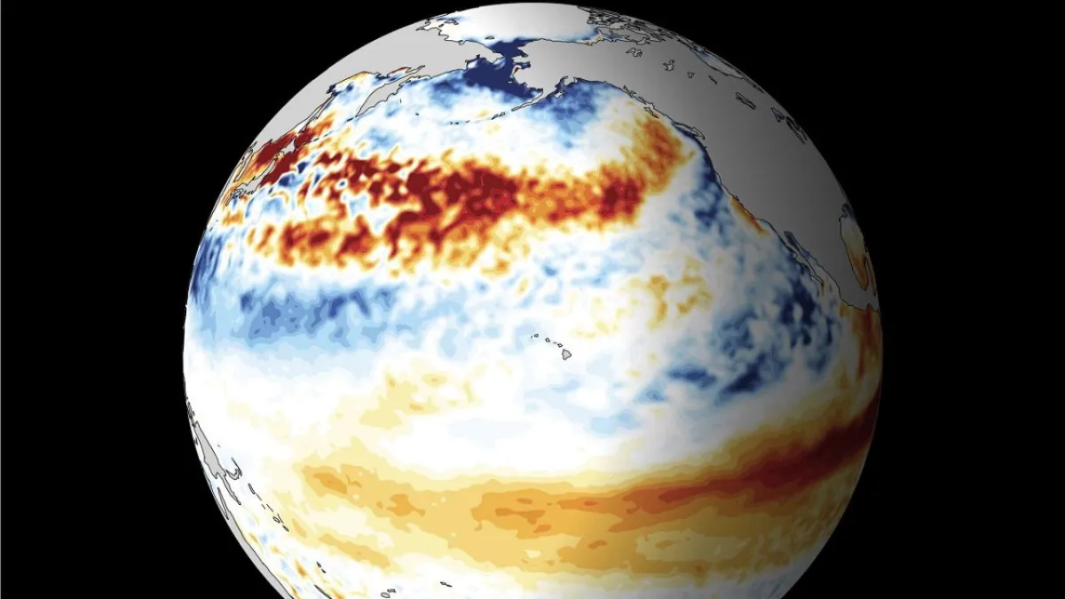 WMO: Kayıtlardaki en şiddetli El Nino'ya hazır olun