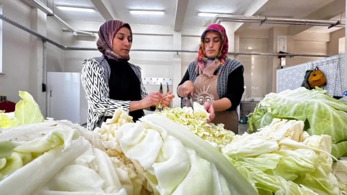 Ata tohumu gelir kapısına dönüştü: Kadınlar talebe yetişemiyor